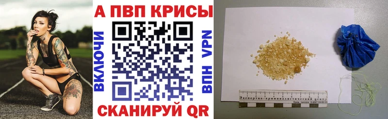 дарнет шоп Зима А ПВП крисы CK