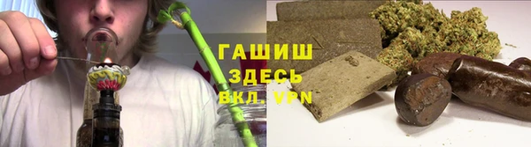 индика Нягань