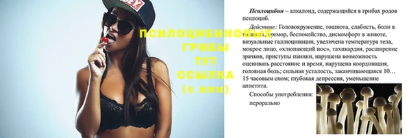 spice Няндома