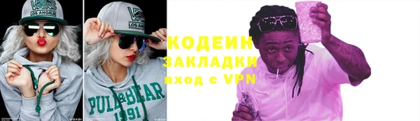 индика Нягань