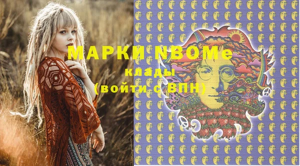 индика Нягань