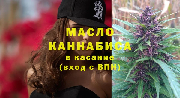 индика Нягань