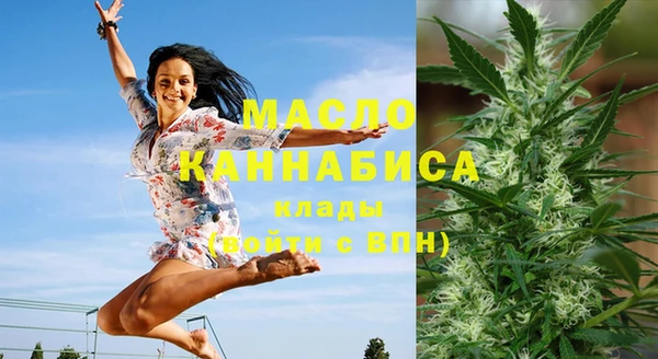 индика Нягань