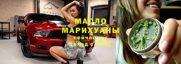 индика Нягань