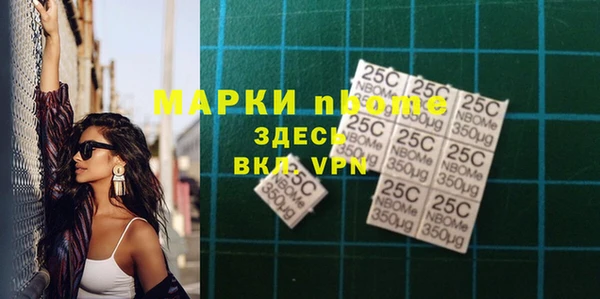 индика Нягань
