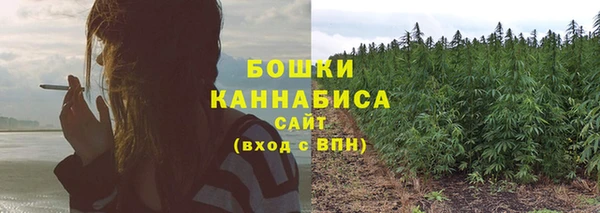 спайс Осинники