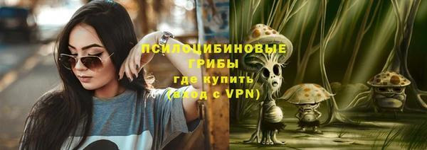 спайс Осинники