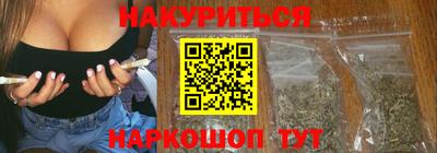 индика Бийск