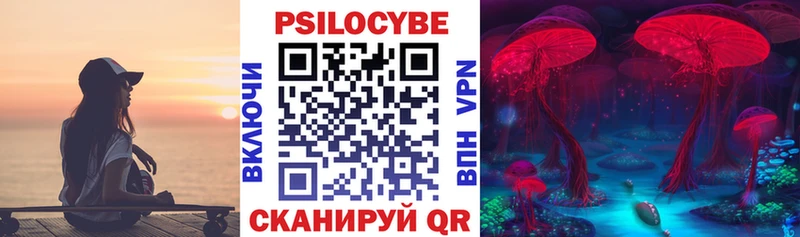 Псилоцибиновые грибы ЛСД  OMG зеркало  Зима 