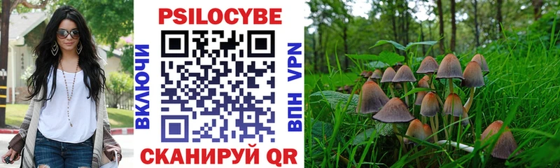 Псилоцибиновые грибы мицелий Зима