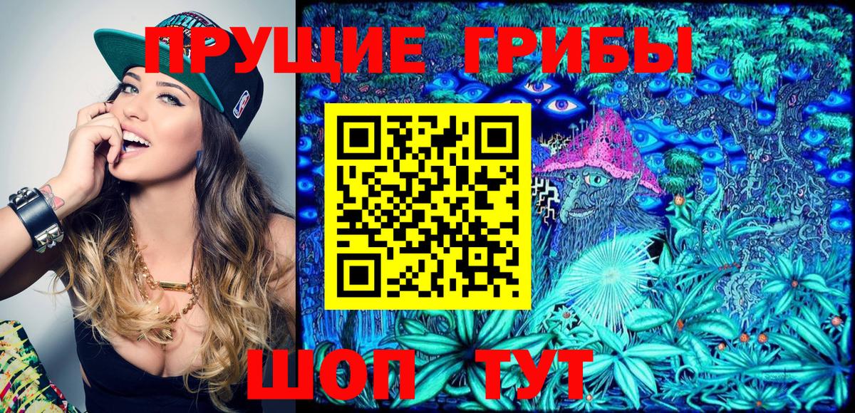 закладка  Зима  Галлюциногенные грибы Cubensis  Псилоцибиновые грибы ЛСД 