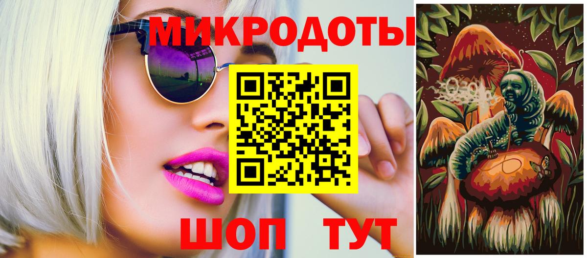 Галлюциногенные грибы Cubensis Зима