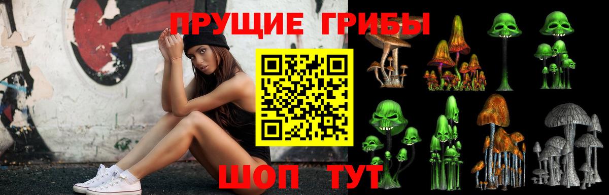 Зима  Псилоцибиновые грибы Psilocybine cubensis  Галлюциногенные грибы MAGIC MUSHROOMS  Вход с VPN 
