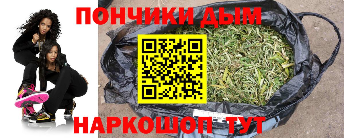 Канабис OG Kush  Марихуана план  Марихуана ГИДРОПОН  Зима 